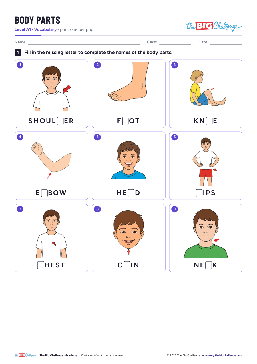 Body Parts