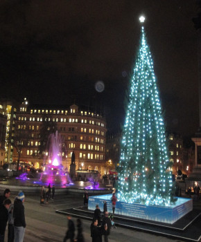 Look Closer 6eme: A British Christmas: The Trafalgar Square tree, episode sheets - Exercises public_resources.teaching_resource