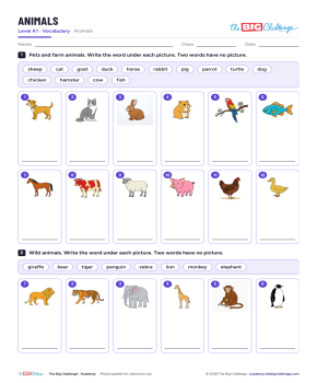 Animals - Exercises public_resources.teaching_resource