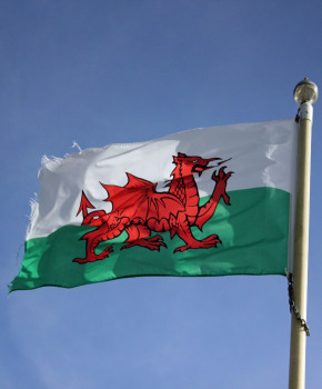 Look Closer 5eme: Wales: the red dragon on the flag, episode sheets - Exercises public_resources.teaching_resource