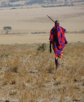 Look Closer 6eme: Kenya: The Maasai Mara, episode sheets - Exercises public_resources.teaching_resource
