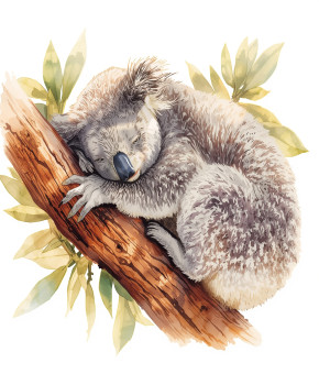 Animals & Creatures of Australia A1: Koala, episode sheets - Exercises public_resources.teaching_resource