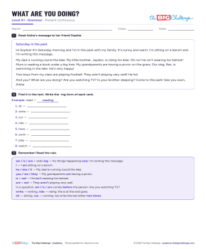What are you doing? - Exercises public_resources.teaching_resource
