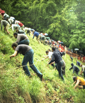 Look Closer 5eme: Britain's strangest contests: cheese rolling, episode sheets - Exercises public_resources.teaching_resource
