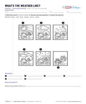 What's the Weather Like? - Exercises public_resources.teaching_resource