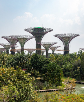Look Closer 4eme: Greener cities: Singapore's Supertrees, episode sheets - Exercises public_resources.teaching_resource