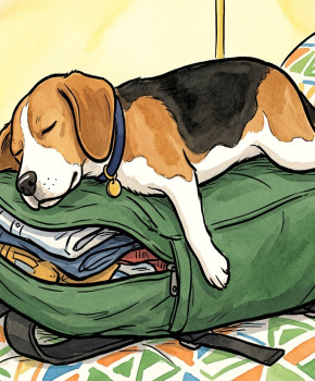 Meet My Family A2: S2E26 - Packing My Bag, episode sheets - Exercises public_resources.teaching_resource