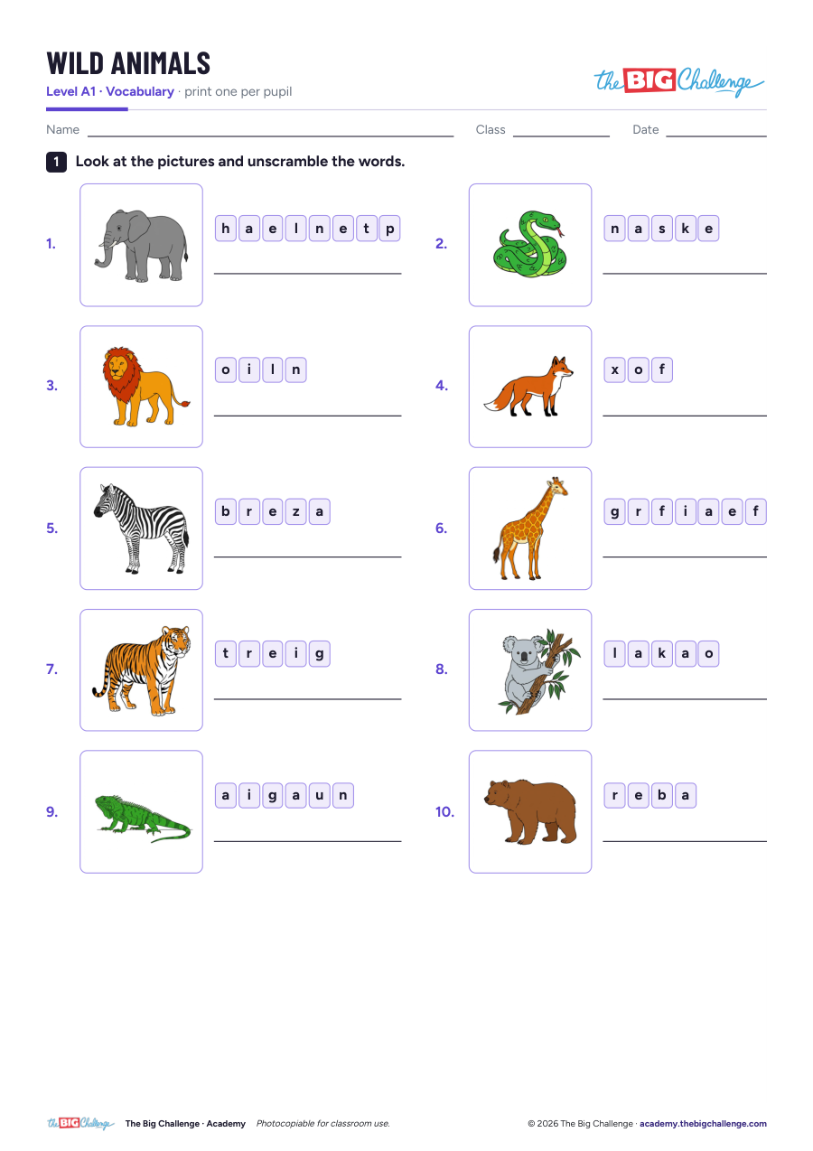 Wild Animals