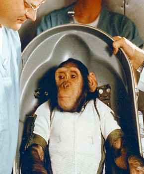 Look Closer 3eme: The space race: Animals in space, episode sheets - Exercises public_resources.teaching_resource