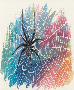 Animals & Creatures of Australia A1: Funnel-Web Spider, episode sheets - Exercises public_resources.teaching_resource
