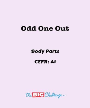 Odd One Out - A1 Body Parts