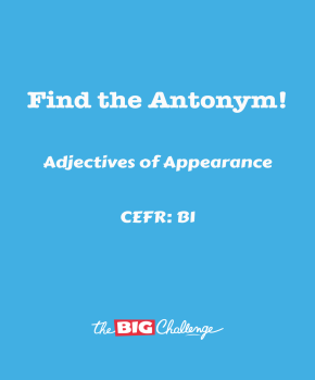 Adjectives of Appearance  - B1 Antonyms