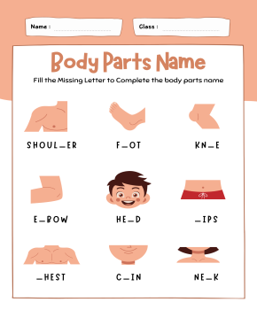 Body Parts